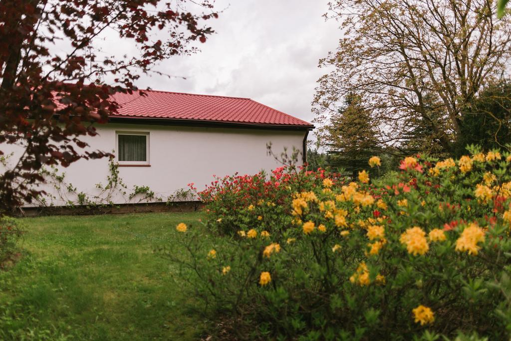 Bed and Breakfast Bobrowa Dolina Ryn  Exteriér fotografie