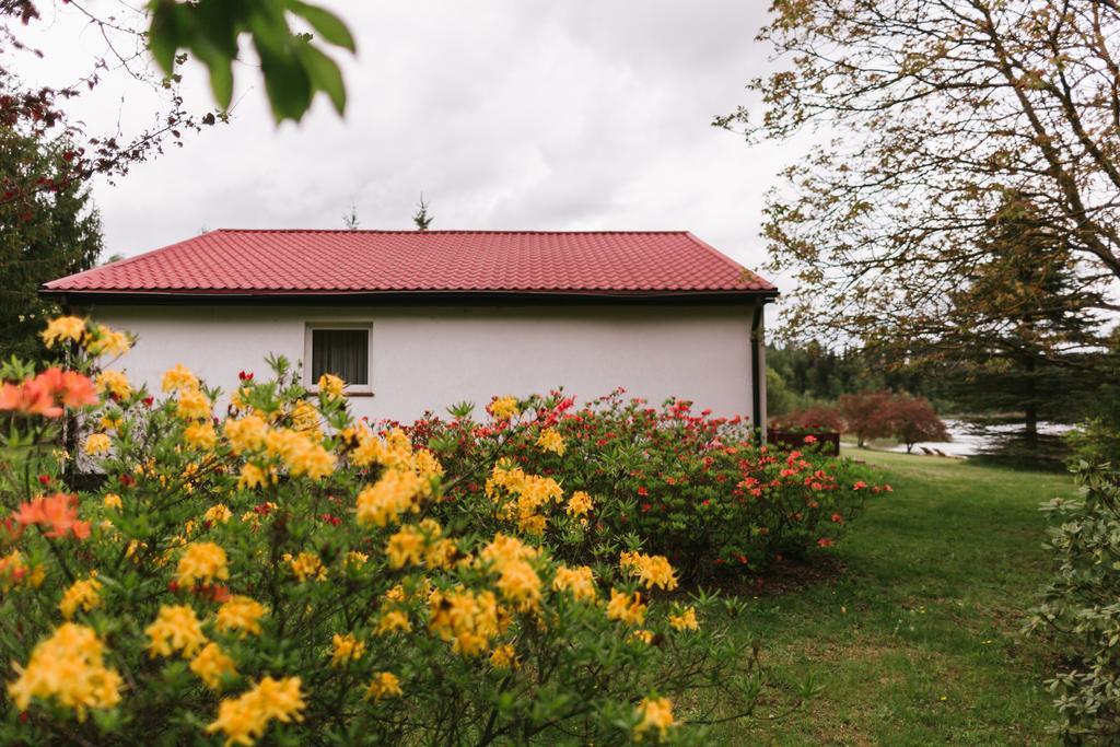Bed and Breakfast Bobrowa Dolina Ryn  Exteriér fotografie