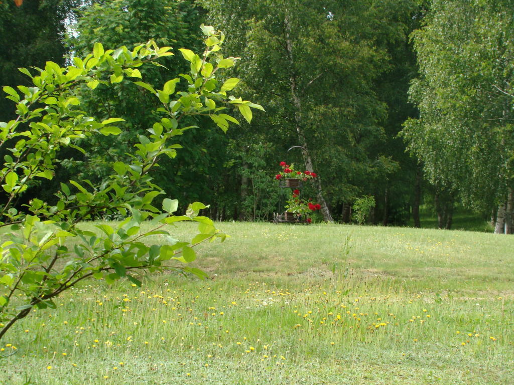 Bed and Breakfast Bobrowa Dolina Ryn  Pokoj fotografie